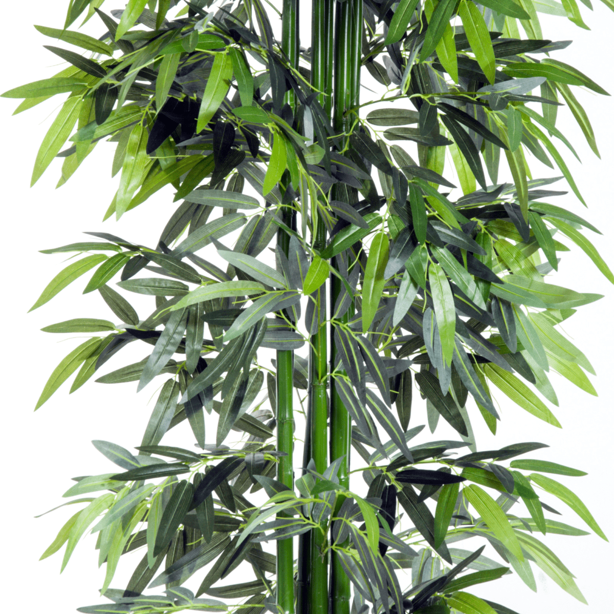 Realistic Artificial Bamboo Tree - Perfect Home & Office Décor - Bamboo Can Do