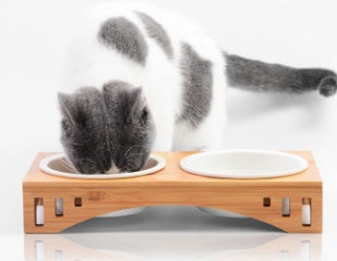 Bamboo Wood Arch Design Pet Bowl - For Cats & Small Dogs