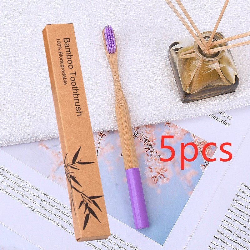 Natural Bamboo Round Handle Toothbrush & Case 5pk - Variety of Colours - Bamboo Can Do