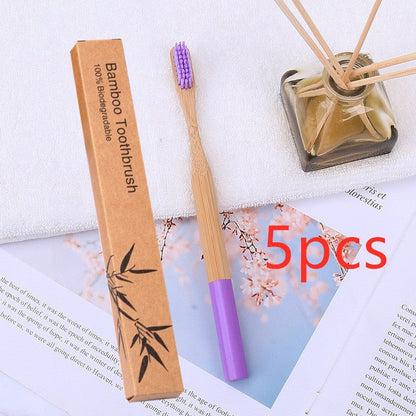 Natural Bamboo Round Handle Toothbrush & Case 5pk - Variety of Colours - Bamboo Can Do
