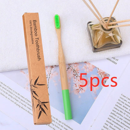 Natural Bamboo Round Handle Toothbrush & Case 5pk - Variety of Colours - Bamboo Can Do