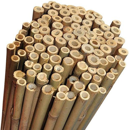 Versatile 6FT Bamboo Canes - Eco - Friendly Garden Support & Decor - Bamboo Can Do