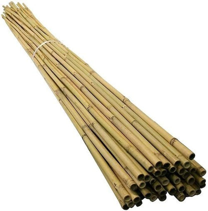 Versatile 6FT Bamboo Canes - Eco - Friendly Garden Support & Decor - Bamboo Can Do
