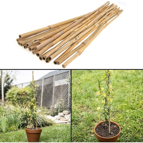 10 x 6FT (180cm) Bamboo Canes