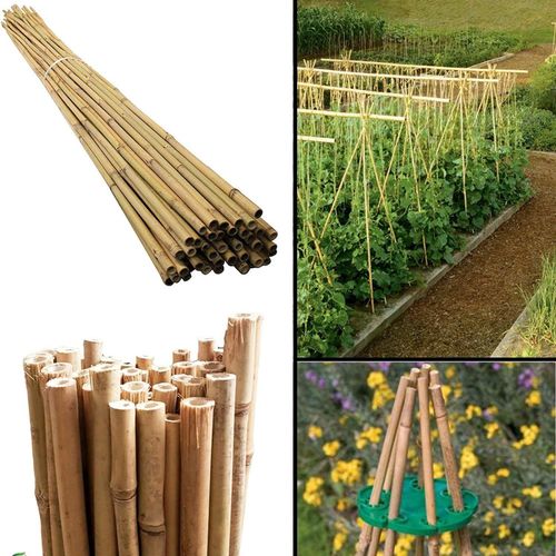 Versatile 6FT Bamboo Canes - Eco-Friendly Garden Support & Decor
