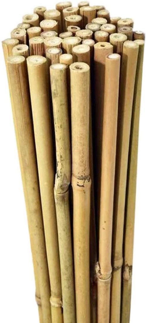 Versatile 6FT Bamboo Canes - Eco - Friendly Garden Support & Decor - Bamboo Can Do